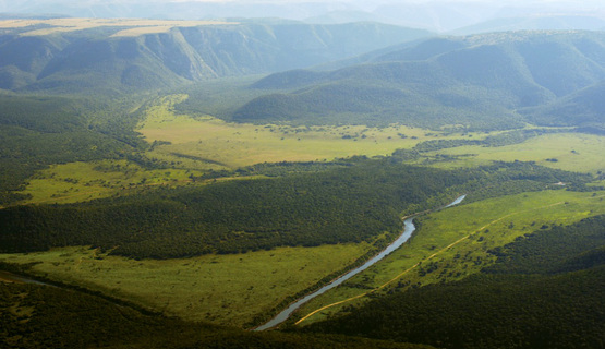 Biodiversity