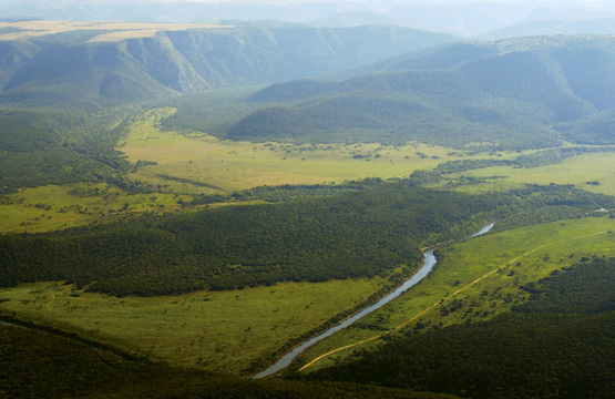 Biodiversity