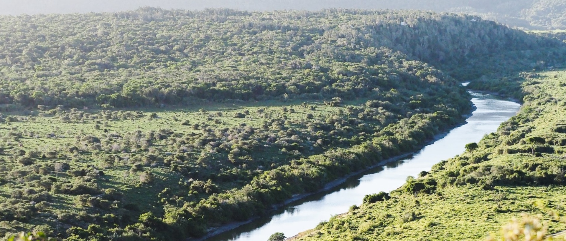 Kariega Habitat Expansion Banner