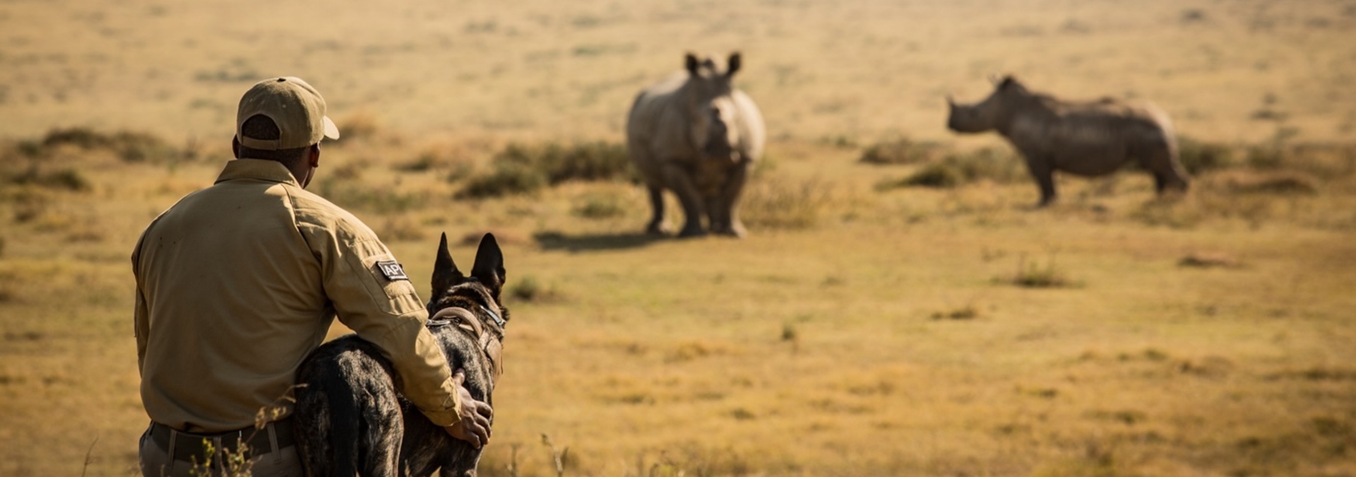 Kariega Foundation Rhino Protection