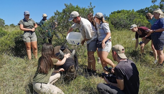 Assisting at a rhino procedure_1729500865054