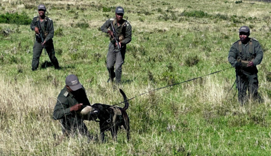 Phil Enjoying The Ride On Kariega Game Reserve Phil Enjoying The Ride On Kariega Game Reserve
